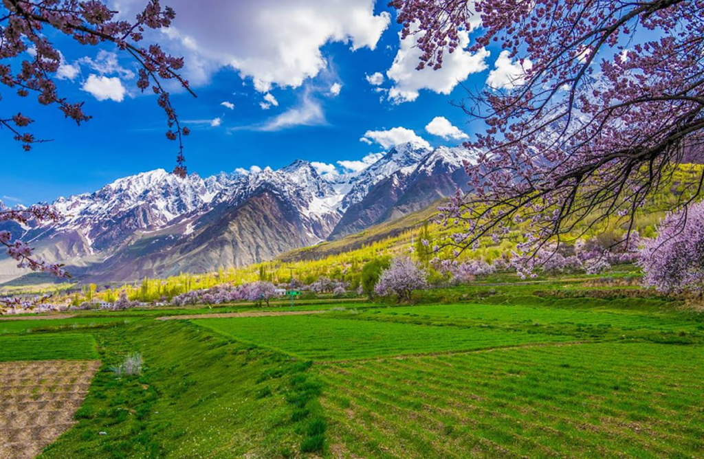 Skardu